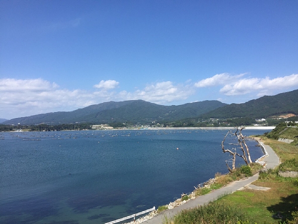 ツールド三陸 1w600.jpg